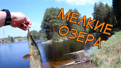 Мелкие озера в Белой Холунице! мкр.Сосновка, Кировская область - YouTube