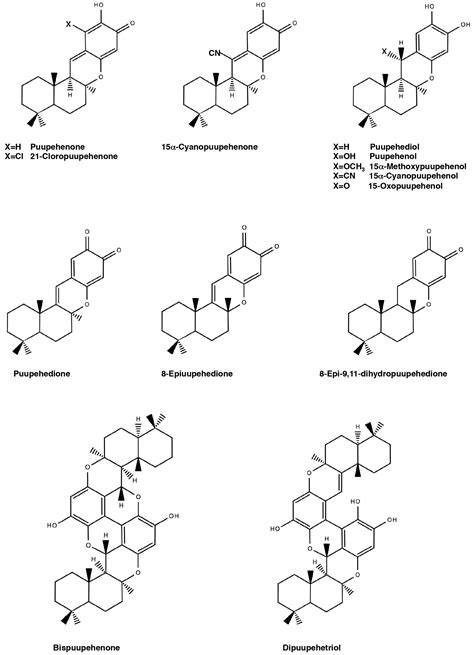 Marine Drugs Free Full Text Pleiotropic Role Of Puupehenones In