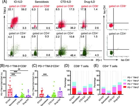 Pd And Tim Expression In T Cells Of Bronchoalveolar Lavage Fluid