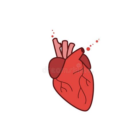 Human Heart Icon Vector Realistic Illustration Stock Vector