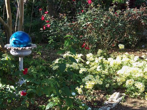 The Schramm Journey: Antique Rose Emporium