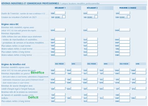 Formulaire 2042 C Pro tuto pour déclarer vos revenus locatifs