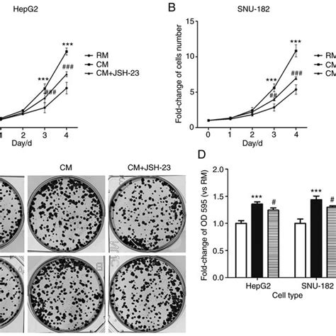 Effects Of M1 Macrophages On The Proliferation Of Liver Cancer Cells Download Scientific