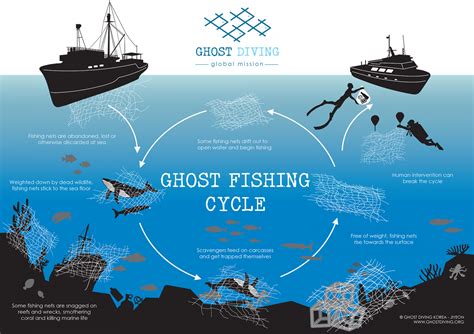 What Is Ghost Fishing And How Can We Save Whales Getting Caught In Old