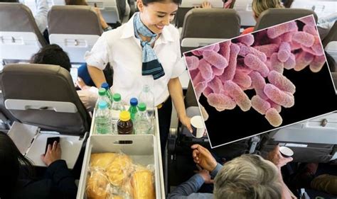 Flight Secrets Airline Staff Reveal Passengers Should Avoid Ice In