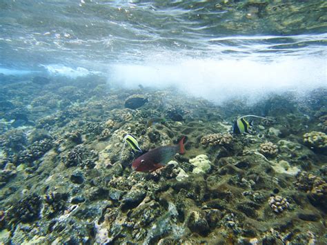 Places Molokini Crater With Four Winds Tours In Maui Hawaii