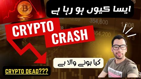 Bitcoin Crashed Bitcoin Update Why Bitcoin Dumping Solana Ada