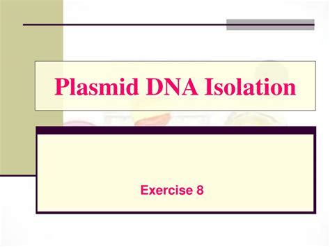 PPT - Plasmid DNA Isolation PowerPoint Presentation, free download - ID:477427