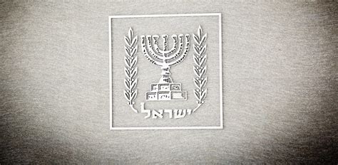 בסופרמרקט של המדינות ישראל צריכה לבלוט יותר גלובס