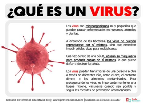 Qu Es Un Virus Definici N De Virus