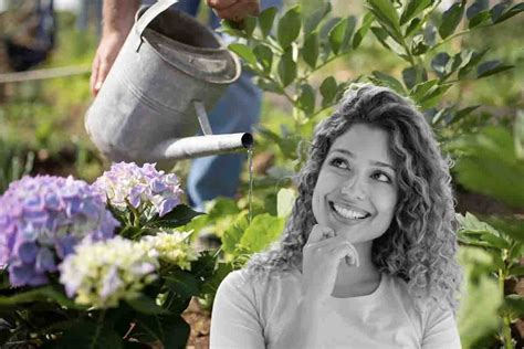 Come Dare L Acqua Alle Piante Quando Non Ci Sei Il Trucco Che Ti