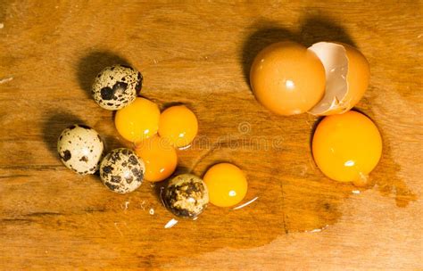 Quail Vs Chicken Eggs Stock Photo Image Of Eggs Crude 67877178