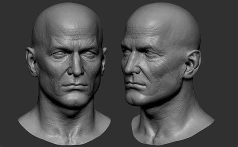 Galahad Head Sculpt Tutoriais Dicas Tips