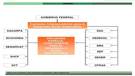 Ley De Desarrollo Rural Sustentable Y El Consejo