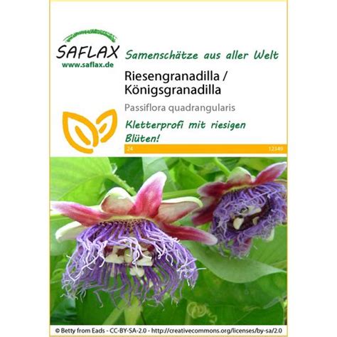 Saflax Riesengranadilla K Nigsgranadilla Packung Bloomling