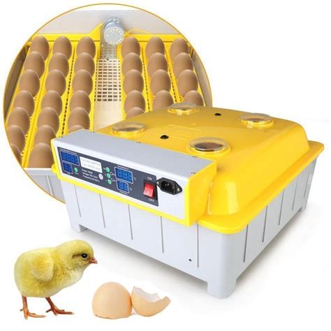 Magicfly Eggs Digital Automatic Turner Incubator Hatcher Poultry