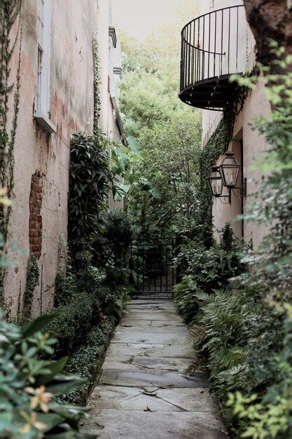 Premium Photo Narrow Alley Amidst Buildings