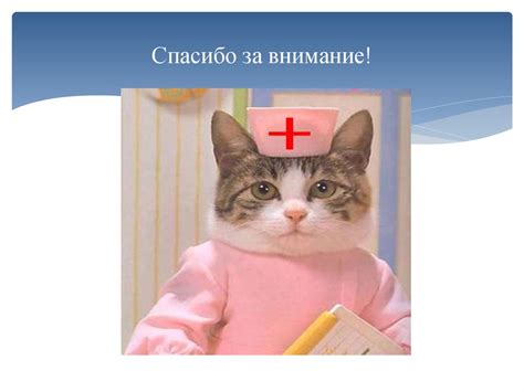Моя профессия - медицинская сестра - презентация онлайн
