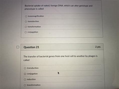 Solved Bacterial Uptake Of Naked Foreign Dna Which Can Chegg