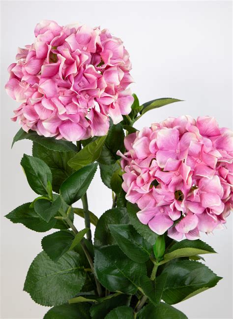 Garten Hortensie Cm Rosa Pink Im Topf Ga Kuenstliche Blumen Pflanzen