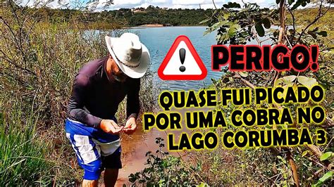 PERIGO Quase fui picado por uma cobra no Lago Corumbá 3 YouTube