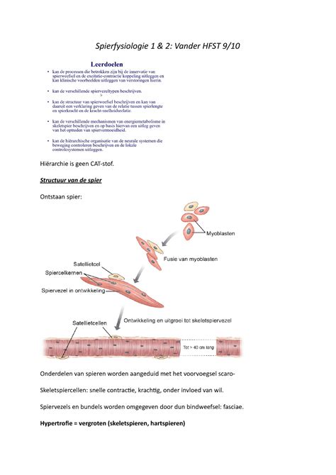 Fysiologie HFST 9 En 10 Spierfysiologie 1 2 Vander HFST 9