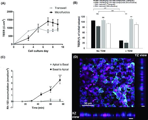 Barrier Functions Of Caco Cell Monolayers In The Microfluidic Device