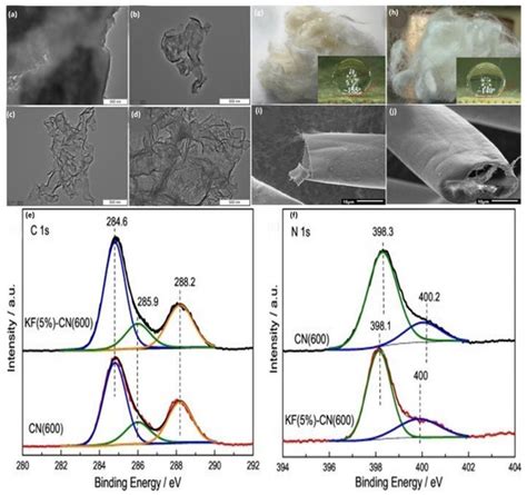 Molecules Free Full Text Biobased Kapok Fiber Nano Structure For