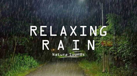 Soothing Rain Sounds That Lull You Into A Deep Sleep In Minutes Best