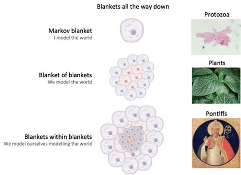 Schematic Depiction Of Markov Blankets The Top Figure Depicts A Single Download Scientific