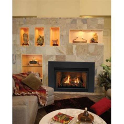 Direct Vent Fireplace Insert Dv35in73lp Liquid Propane Free Image Download