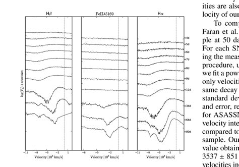 Evolution of the Hβ left Fe II λ5169 middle and Hα right