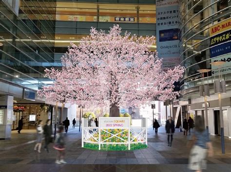 小田急線相模大野駅直結のアトリウム広場にて相模大野ステーションスクエアによる、高さ約8mの桜装飾と花々の装飾＆グランドピアノを設置｜株式会社