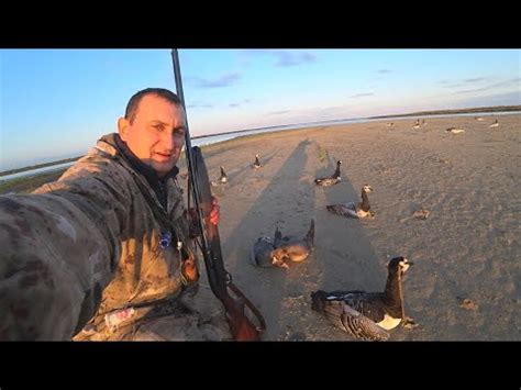 ОХОТА НА ГУСЯ / добыл 22 гуся за три часа / GOOSE HUNTING - YouTube