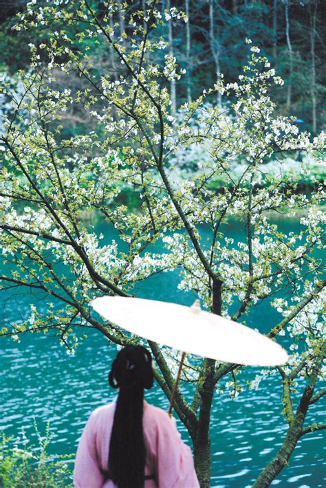 今天的阳光有多难得？明天开始天天下雨 杭州新闻中心 杭州网