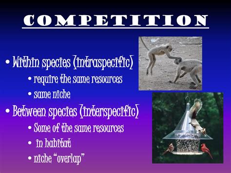 How Species Interact Chapter 8 Section Ppt Download
