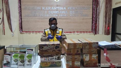 Karantina Pertanian Sumbawa Gagalkan Penyelundupan Ratusan Ekor Burung