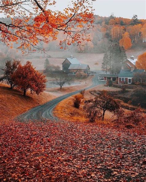 Pin on Autumn 🍂 | Autumn scenery, Autumn scenes, Fall pictures