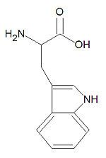 Tryptophan - encyclopedia article - Citizendium