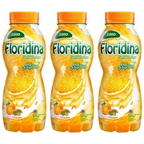 Floridina Orange Minuman Jeruk Dengan Bulir Utuh Buah Asli 360 ML