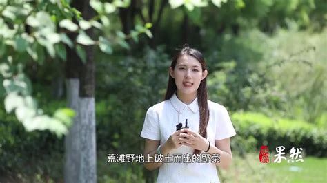 果然视频 二十四节气之小满：万物始茂，盈而未满 小满 节气 新浪新闻