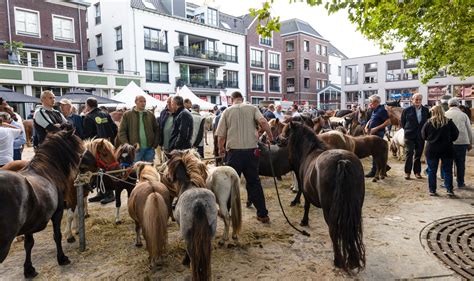 E Ponymarkt In Bemmel Omroep Lingewaard