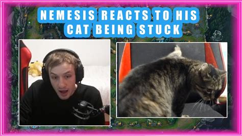 Nemesis Reacts To His CAT Being STUCK In Chair YouTube