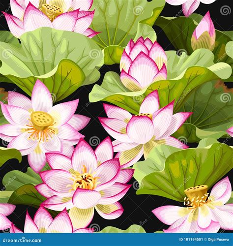 Seamless Pattern With Lotus Flowers Stock Vector Illustration Of Flower Decoration 101194501