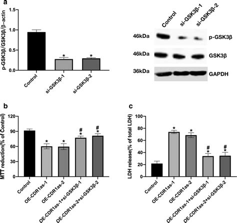 Gsk3β Silencing Could Reverse The Damage Of Pc12 Cells Induced By