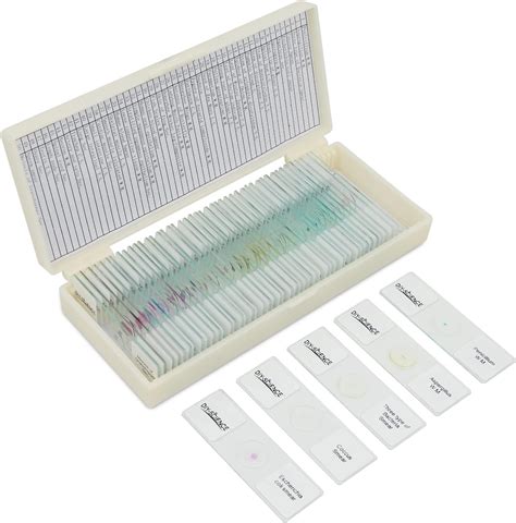 50pcs Prepared Microscope Slides Set With Specimens Plants Insect