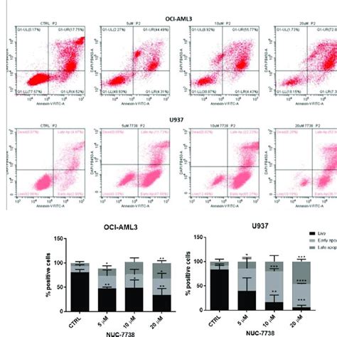 Nuc Induces Apoptosis In Aml Cell Lines Oci Aml And U Cells