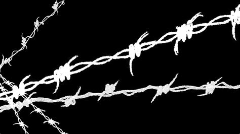 🔥 Free Download Black White Barbed Wire Blackhound Hd Wallpaper General By Monicabrown