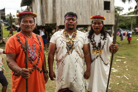 Los Derechos De Pueblos Indígenas ¿cuánto Han Avanzado