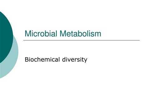 Ppt Microbial Metabolism Powerpoint Presentation Free Download Id1153980